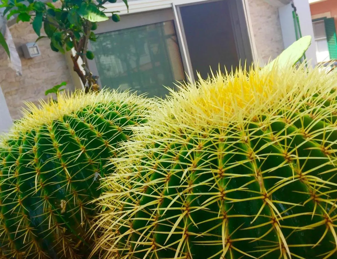 阿齐·卡斯特罗Casa Aurora公寓 0*, 阿齐·卡斯特罗 意大利